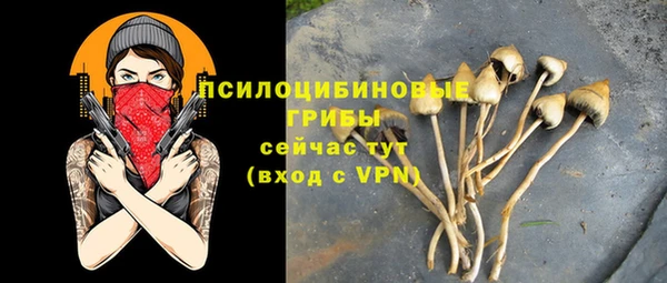 ешки Алексин