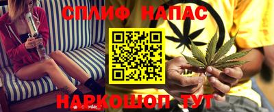 гидра Нарткала