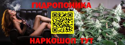 стаф Нальчик