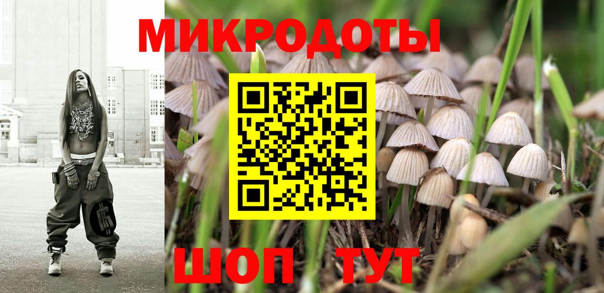 Звенигород  Псилоцибиновые грибы GOLDEN TEACHER  Вход с VPN 